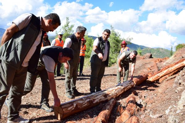 Hatay ormanlarında, 'gevşetme zonu' uygulaması