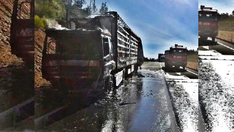 TIR yangını, ormana sıçramadan söndürüldü