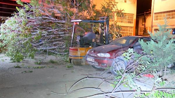 Bursa'da kökü sökülen ağaç 3 otomobilin üstüne devrildi