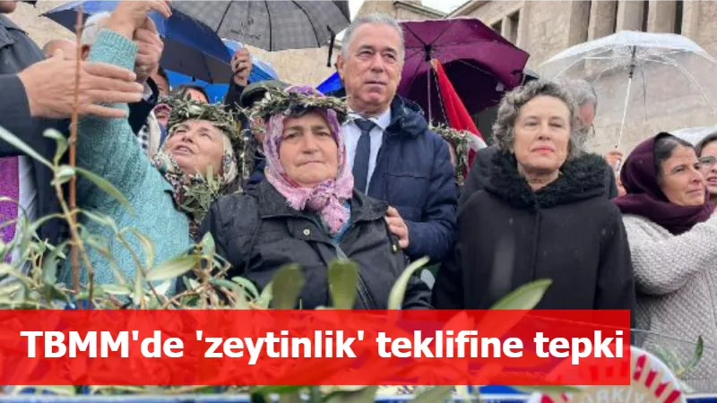 TBMM'de 'zeytinlik' teklifine tepki