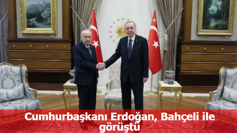 Cumhurbaşkanı Erdoğan, Bahçeli ile görüştü