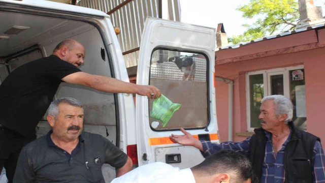 Çal’da dolu yağışının neden olduğu zararın izleri siliniyor