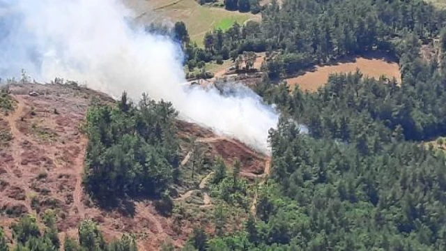 Çanakkale’de orman yangını