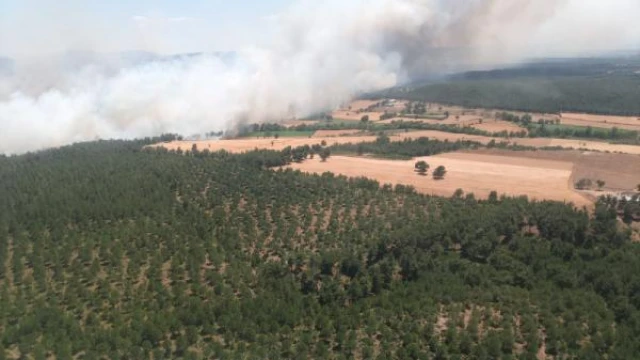 Çanakkale’de tarladaki yangın ormana sıçradı