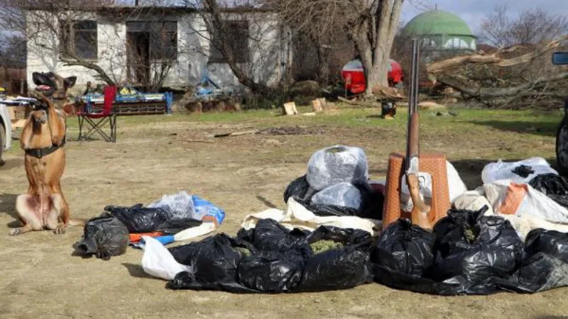 Tekirdağ'da, yılbaşında piyasaya sürülmek istenen 31,5 kilo esrar ele geçirildi