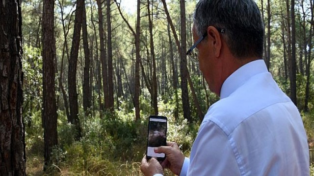 Çevre Dostu Belediye: Kemer Belediyesi