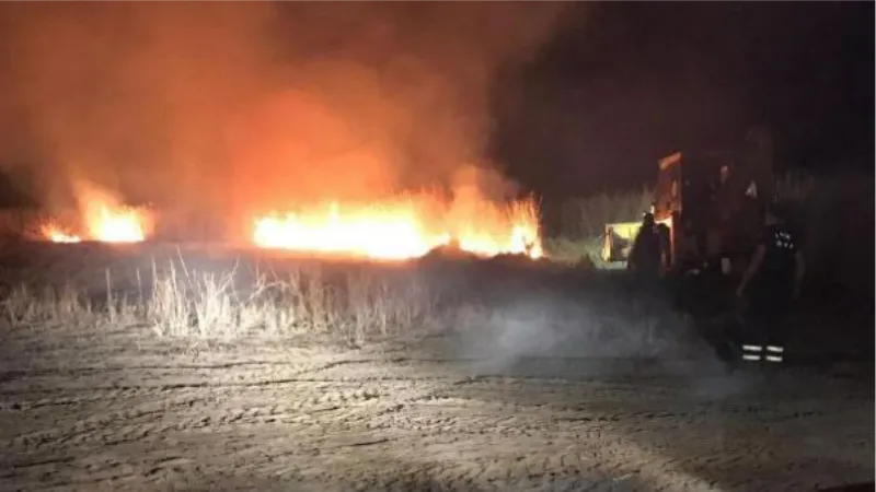 Hatay'da göçmen kuşların uğrak yerinde yangın