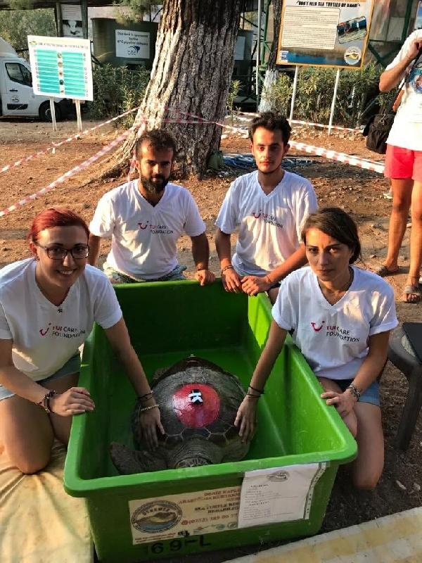 Caretta caretta 'Tuba' 17 bin 500 kilometre katetti, 7 milyondan fazla izlendi