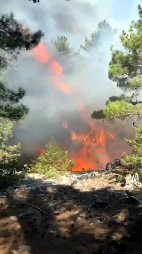 Antalya'da çıkan orman yangını, 2 saatte kontrol altına alındı