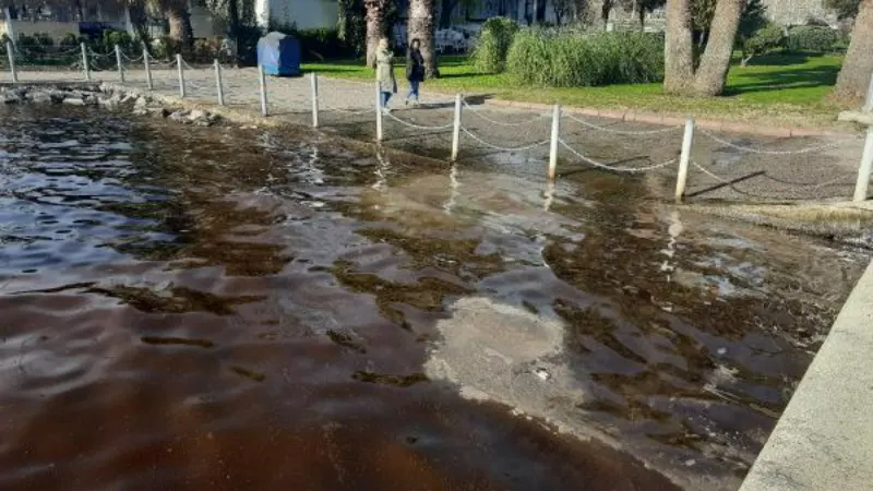 İzmit Körfezi, kısmen kahverengiye büründü