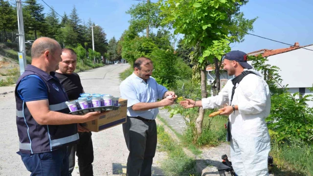 Daha temiz ve yeşil bir Emet için belediye ekipleri sahada