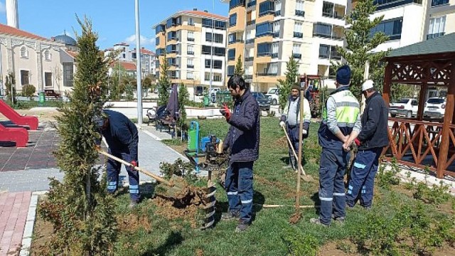 Daha Yeşil Bir Malkara İçin Ağaçlandırma Çalışmalarımız Devam Ediyor