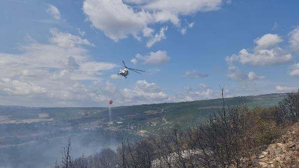 Gebze’de orman yangını