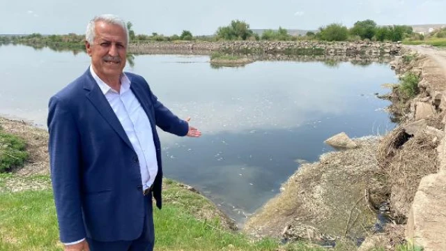 Dicle Nehri’nde balık ölümlerine inceleme