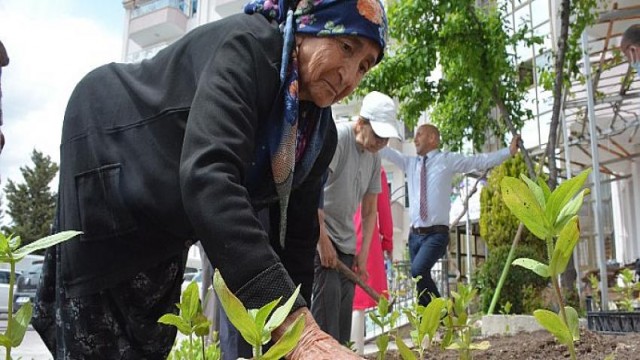 Domates Fideleri Gönül Köşkü’ne Dikildi