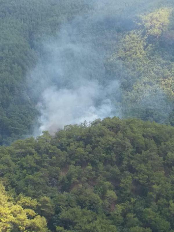 Balıkesir'de, yıldırım isabet eden ormanda 1 dönüm alan zarar gördü