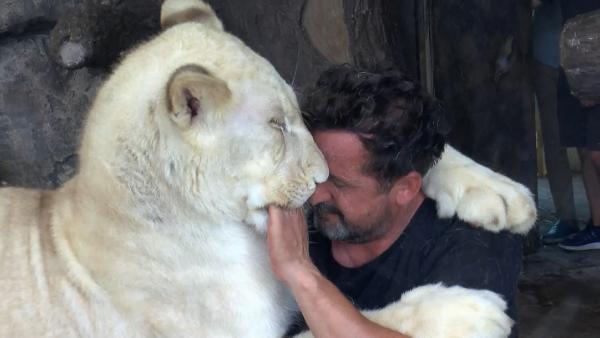 45 gün evinde baktığı Angel'ı Dünya Aslan Günü'nde de yalnız bırakmadı