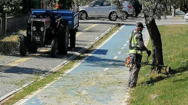 Edremit’te Yeşil Alanlara Bahar Bakımı