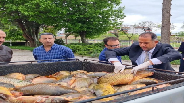 Elazığ’da kaçak avlanan 500 kilogram balık yakalandı