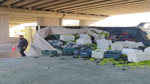 Elazığ’da sebze yüklü kamyon devrildi: 3 yaralı