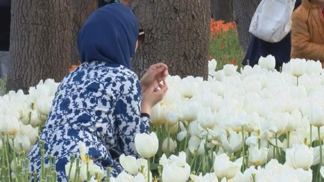 Emirgan Korusu’ndaki ’lale şöleni’ne fotoğraf gölgesi