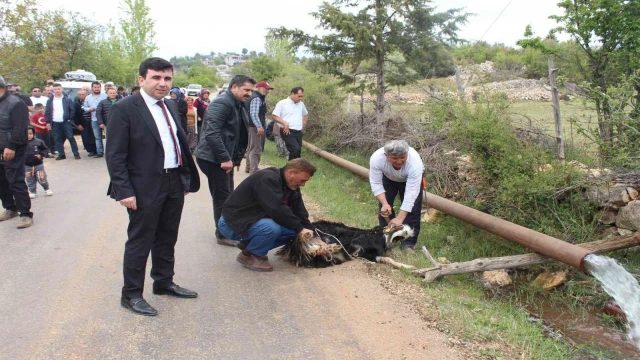 Erdemli’de sulama suyu sevinci