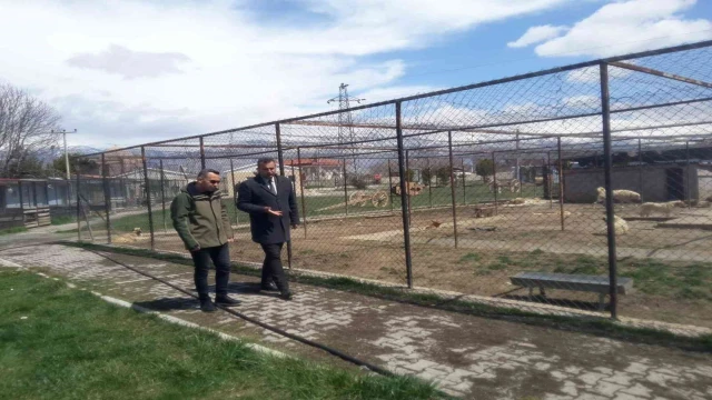 Erzincan’da hayvan bakımevi denetlendi