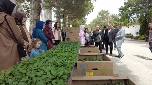 Erzincan’da kadın çiftçilere fide desteği