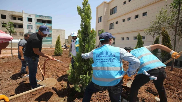 Eyyübiye’de yeşillendirme seferberliği devam ediyor