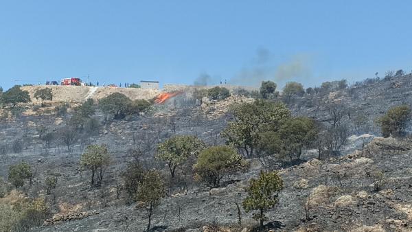 Bodrum'da makilik yangını