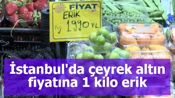 İstanbul'da çeyrek altın fiyatına 1 kilo erik