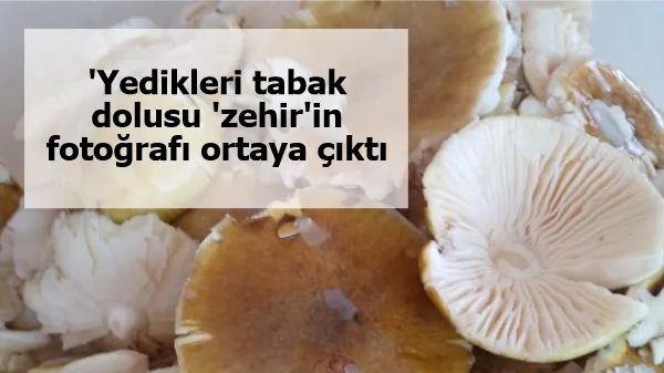 'Yedikleri tabak dolusu 'zehir'in fotoğrafı ortaya çıktı: 50 gramı bile öldürmeye yeterli...