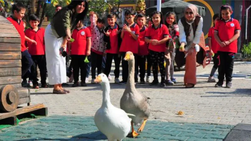 Okulun bahçesinde mini hayvanat bahçesi