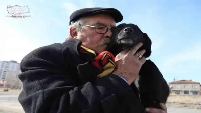 Faik amca ’Zeytin’ine kavuştu