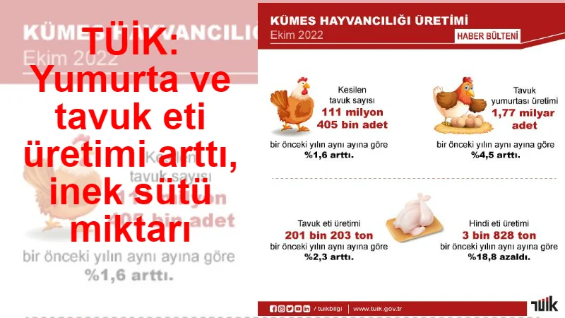 TÜİK: Yumurta ve tavuk eti üretimi arttı, inek sütü miktarı azaldı