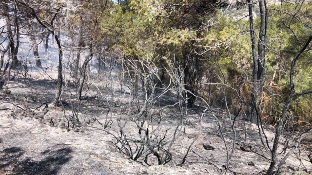 Fethiye’deki yangın kısmen kontrol altına alındı