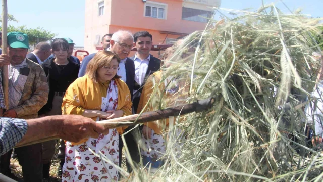 Geleneksel yöntemlerle yapılan firik ütme başladı