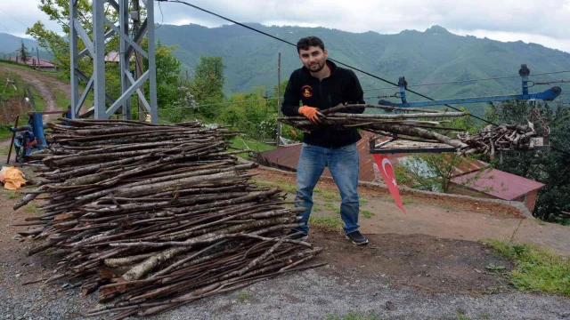 Gelmeyen yaz vatandaşları yakacak derdine düşürdü