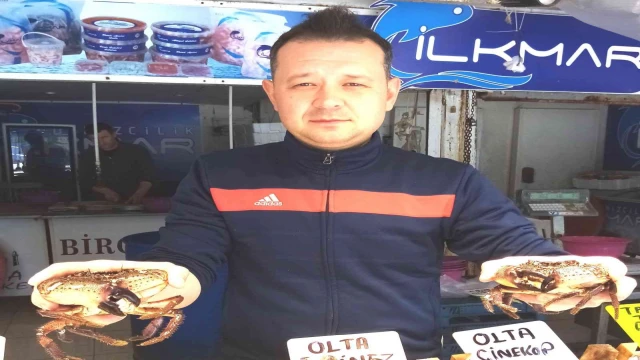 Güneşlenirken avlanan pavurya yengeçler kilosu 80 liradan satılıyor