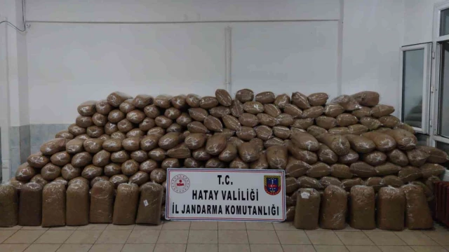 Hatay’da 2 ton kaçak tütün ele geçirildi