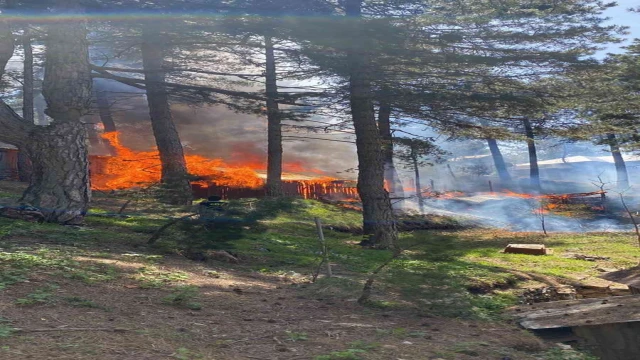 Hatay’da Amanoslar Üçkoz Yaylasında çıkan yangında 5 ev yandı