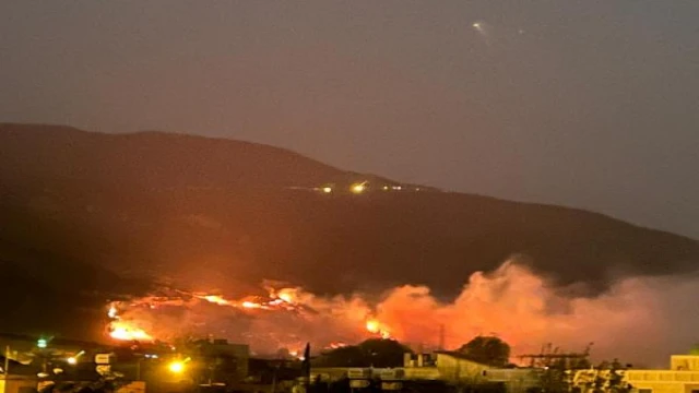 Hatay’da orman yangını