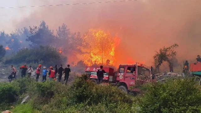 Hatay’daki orman yangınını söndürme çalışmalarına vatandaşlar da destek veriyor