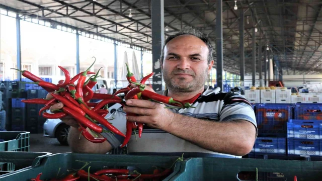 Havaların ısındığı Antalya halinde sebze fiyatları geçen haftalara göre yarı yarıya düştü