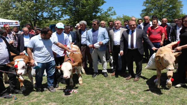 Havza’da yayla şenliği