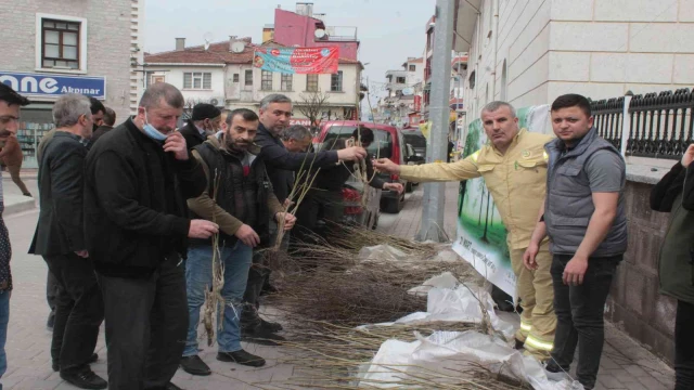 İnebolu’da vatandaşlara ücretsiz meyve fidanı dağıtıldı