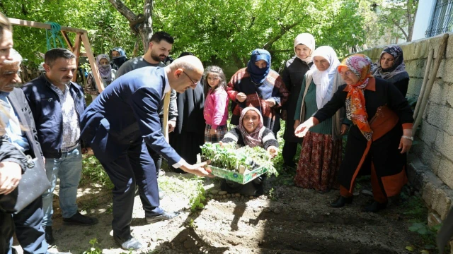 İpekyolu Belediyesinden sebze fidesi dağıtımı