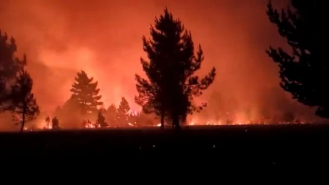 İspanya’da orman yangınlarına müdahale sürüyor