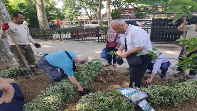 İstanbul, “Isparta gülü” kokacak