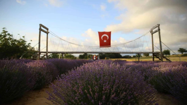 İstanbul’un yanı başındaki Tekirdağ’da mor günler başladı